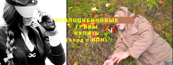 гидропоника Богородск